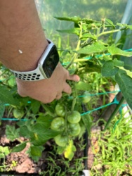 13e1a86a-f41c-43c7-bf42-cc76d3b63e94