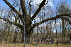 ddde41bc-33dc-4209-9205-2c48c47394ee