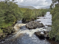 2e2010e5-d217-4b17-b7dc-eab947d6d2d2