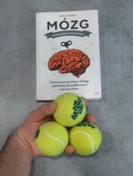 ed537173-4b88-4e1f-a354-148d10e120bd