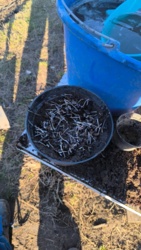 b1b46511-919c-4a35-85e5-4f9f136d2433