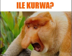 5401d573-bba6-47ef-9df3-3d9c7ec79758