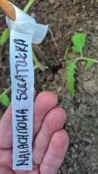 5c1f6515-3a53-429b-86a0-2678f01f9e7d