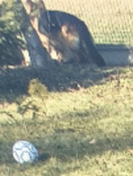 18e9c9f0-f472-4f8f-9413-f7112836c8f1