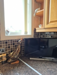 59d428c5-1768-4d9a-8491-3c21537b892e