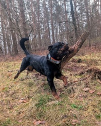 b6f4106c-604c-4ae2-9cfa-6002f6df1f40