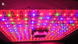 6aa36a8d-221c-4288-96bd-f2de49270fc9