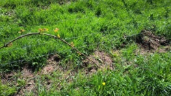 dc108fce-04d6-47be-b208-1aad342c5d26