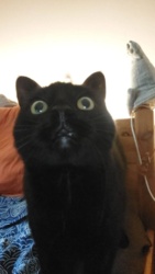 ed9edab0-ceae-4990-851a-37ec6ed99826