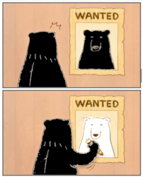 b247f558-4c77-46bd-8b86-c4c94f4a13ae