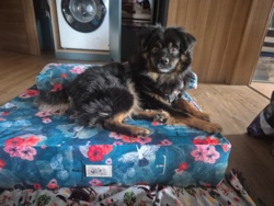 7d7f1a1b-966a-44a3-83cf-771e3ff31a20