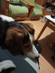 e0c9405e-6bfa-4d2f-b7f2-50903fe65e4c