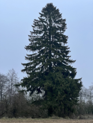 7ee97d19-7fb0-4eaf-b1f9-2f6a587cf45e