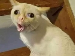 afb69e35-8304-46ec-a9b7-8185cf2e7c25