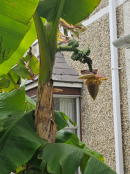 b76e6f38-c34b-4164-9106-cbd63bac4d1e