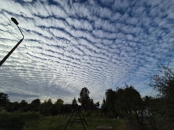 46cbc519-3856-4877-a217-5c673f17c376