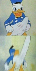 a48ffdc1-8385-451f-bcc5-6f352645bd17