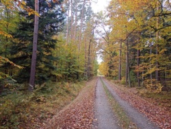 b459b070-8d06-48c8-b2ca-7d1dd9053cf7