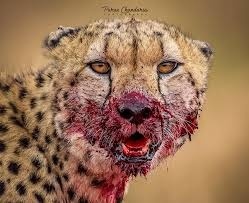 c21e8ecc-2eed-4275-adba-73ba8a0d9712