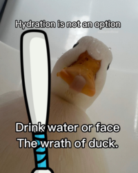 3b491d0b-05b6-4b6f-a39e-2af0a662429a