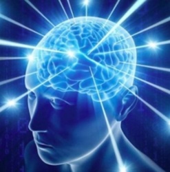 9d58ef70-570a-48c7-bc71-87d904f78551