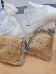 562e7276-315a-4835-a686-256ec0c9c5c3