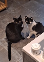 ea9796f7-7e1e-4cfc-a6f4-8050b8562fcb