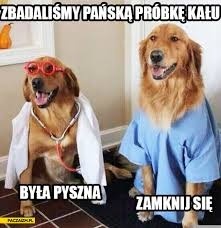 f4b66a0e-e22e-4e4e-9368-eb35e86812b4