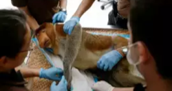 c94a69d3-4064-4b36-b1cd-cb1c3b59a479