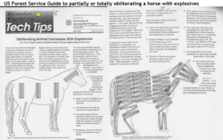 de5058a5-9411-4fb3-ba35-aced490e42b5