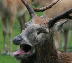 a3b5bdaa-7da9-4722-95ca-2860fa73560d