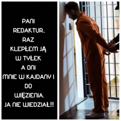 93633351-906e-45a5-98f2-4857007ecc95