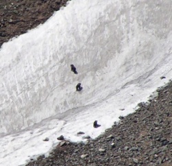 e4649a32-0677-421e-bac9-10a31ec46bd8