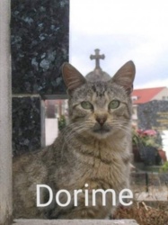 ff267712-2c73-4b79-b351-d4363b783f40