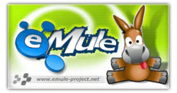 804ac8a9-f0a6-4fe4-9a2a-60f36c13ca5a