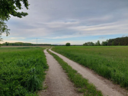 d3d9da0e-4bd3-49e8-bca3-bb103fcb8600