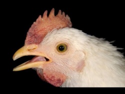 7f9fc259-89b3-452c-a0c5-b0e10be80a9a