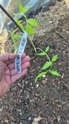 1c8b3365-e0a0-4939-9191-d0623f055a70