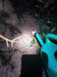 ad24d5bb-c07c-4b39-b4c8-6b66539d2335