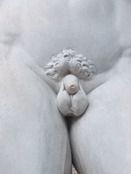 9f91100d-d50c-49f7-858b-c4cb6f1584fc