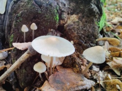 af3ec0b1-363b-4467-b1ff-d51cacba0ef4