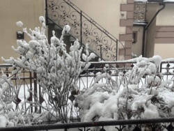 88966ec8-4244-4b61-9905-bdc3ac949160