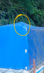 080b1550-6f17-4a81-9684-82534142b1a9