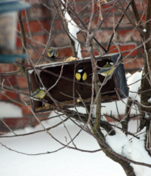 f8e1309c-6e65-49f3-a65b-f4ee6f8f4d5e