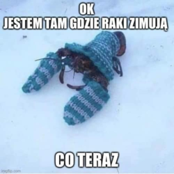 9a3c3de5-85a8-48cc-a114-38457adc4c1a