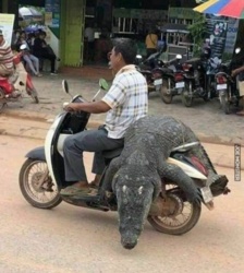 d9de8c17-8214-4dbf-acc5-ab23a48ce8fd