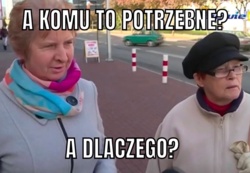 0daf66d4-10b4-48f5-87c4-12c56861db36