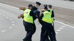 8d747f6a-ec98-468c-8af0-31ee8a120197