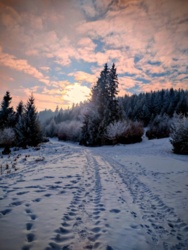 ae8b76f5-d417-4a9b-b800-bd9d6ae82dea