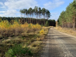 186873d3-fbd1-4749-90f1-9fde1186c270